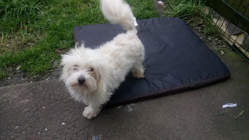 Justine du clos d'athena