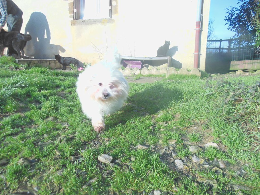 Jaime du clos d'athena