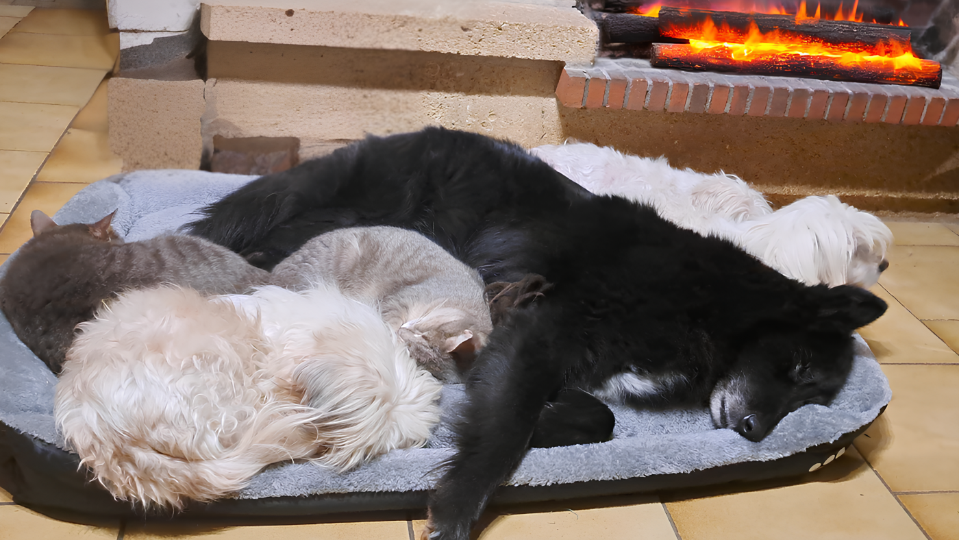 Belle et heureuse année 2026